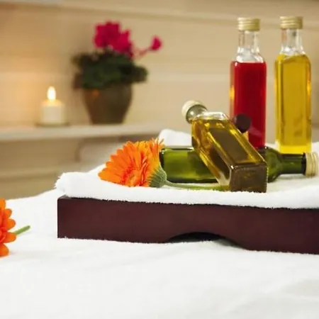 Wellness Spark Hotel 4*