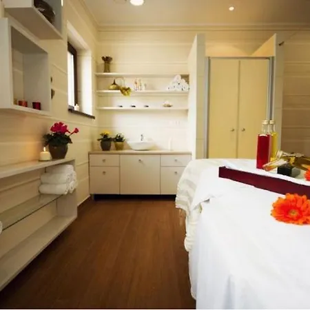 Wellness Spark 4*