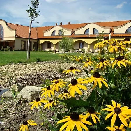 Hotel Wellness Spark